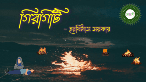 Girgiti - গিরগিটি 2 ProductMarketingAdMaker 01112022 164251