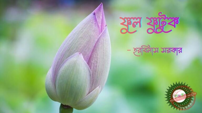 IMG 20221204 WA0005