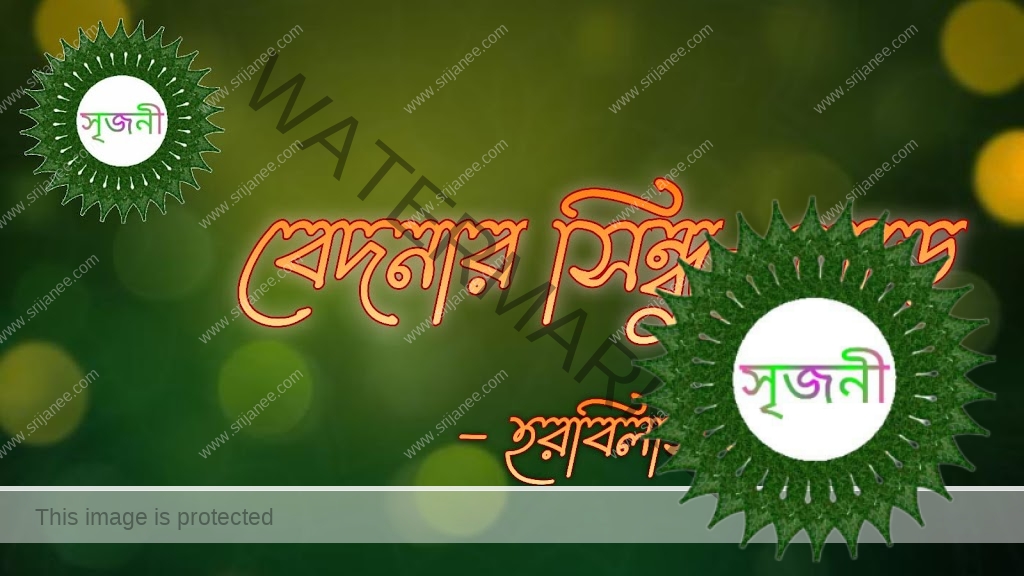 Bedonar Sindhu Pareh - বেদনার সিন্ধু-পাড়ে